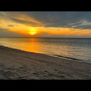 Meet your Posher, Gracie